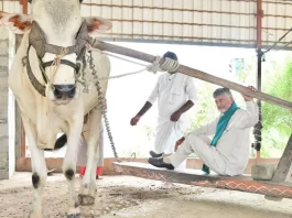 AP CM releases ₹3,125 crore to farmers under PM-Kisan Annadatha Sukhibhava